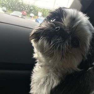 Meet your Posher, April